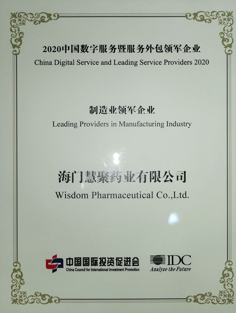 2020服務外包領(lǐng)軍企業(yè)